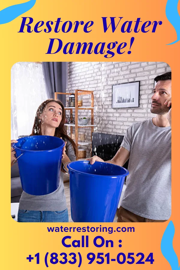 water restoration Vigilant Emergency Restoration Masters Narrows