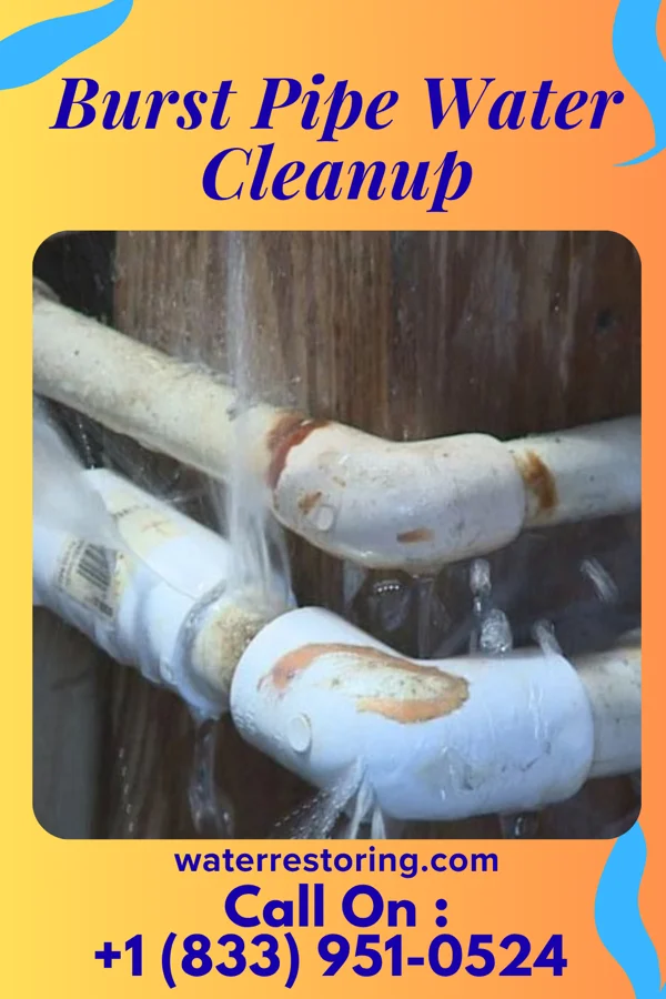 Burst Pipe Water Cleanup in Narrows, VA