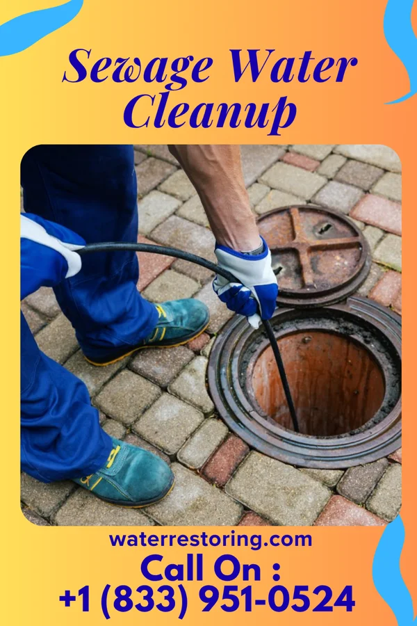 Sewage Water Cleanup in Narrows, VA